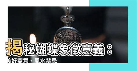 蝴蝶象徵意義|【蝴蝶代表】揭秘蝴蝶象徵的風水與吉祥寓意，賞析精緻蝴蝶刺繡。